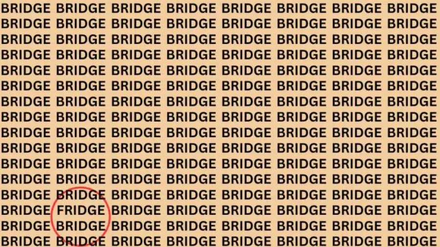 Riesci a trovare il frigorifero nel ponte in 18 secondi? Illusione ottica Eye Test Spiegato e Soluzioni