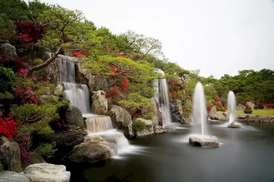 Riesci a trovare il pavone in questo giardino in 12 secondi? Illusioni ottiche Spiegazioni e soluzioni