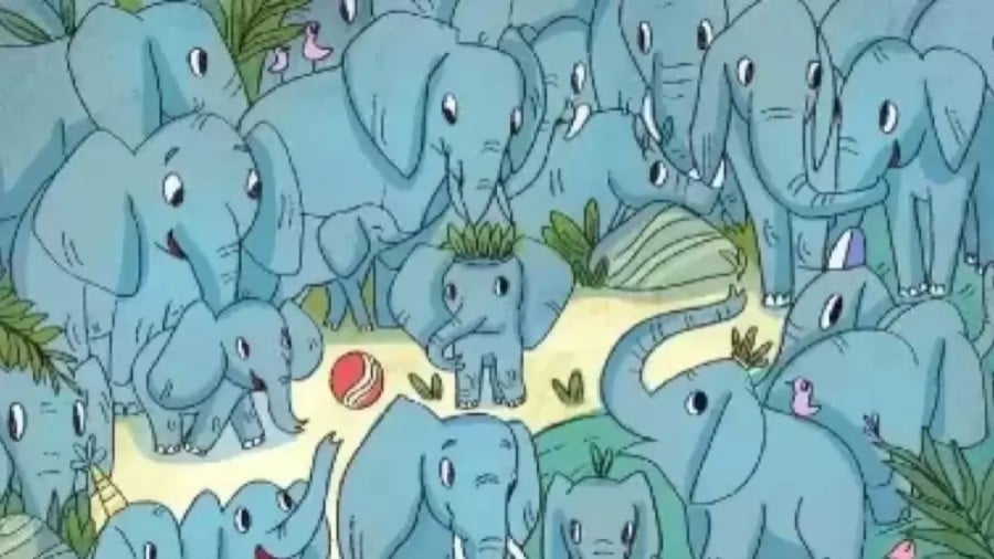 Riesci a trovare un rinoceronte nascosto tra gli elefanti in 12 secondi? Illusioni ottiche Spiegazioni e soluzioni