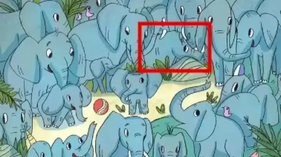 Riesci a trovare un rinoceronte nascosto tra gli elefanti in 12 secondi? Illusioni ottiche Spiegazioni e soluzioni