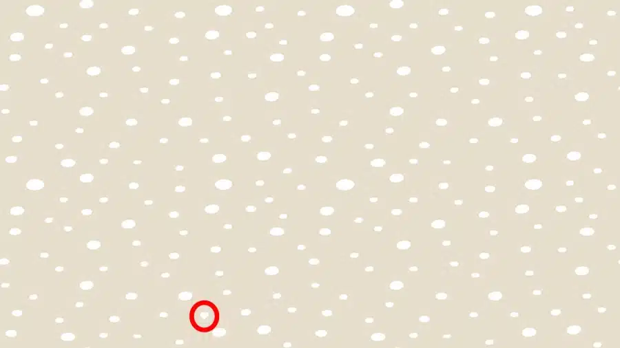 Sfida all'illusione ottica: se hai occhi d'aquila, scopri il cuore nascosto in 15 secondi