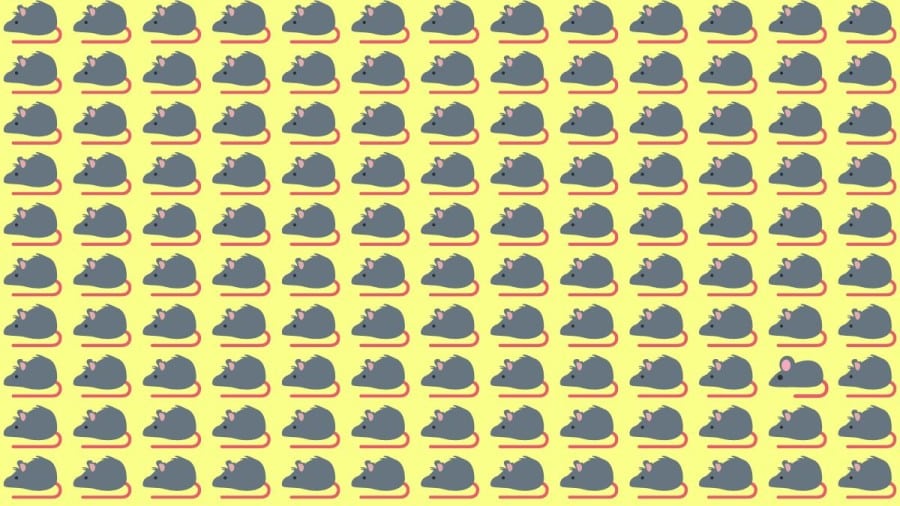 Test di osservazione: Riesci a notare la differenza in 10 secondi?