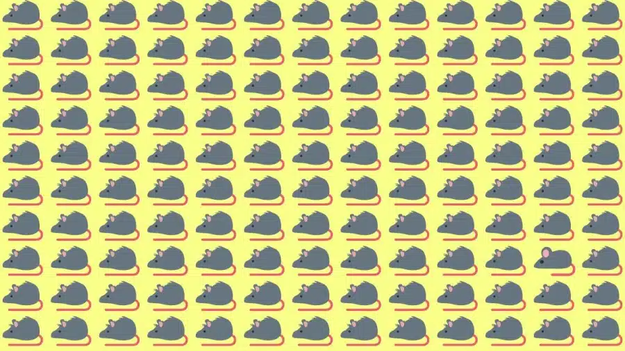 Test di osservazione: Riesci a notare la differenza in 10 secondi?