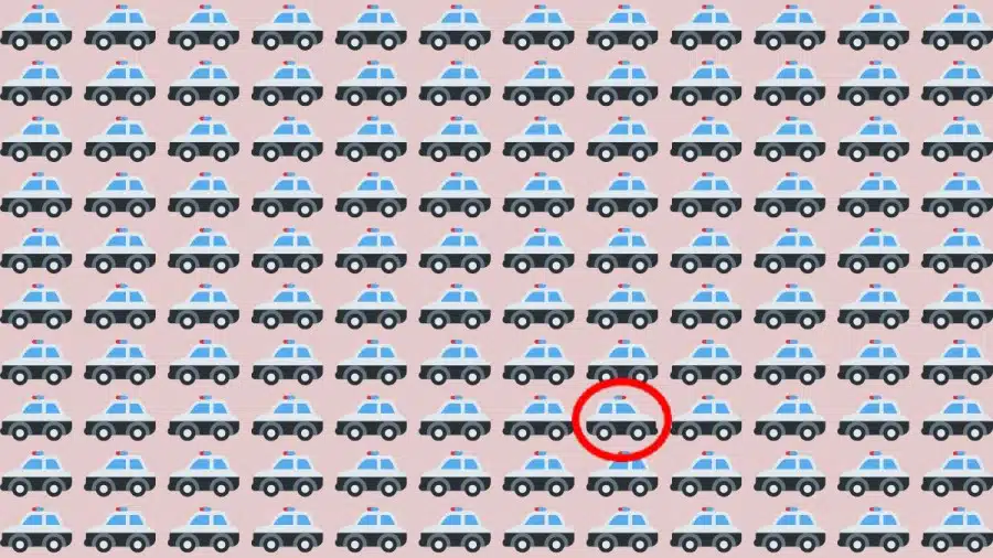 Test di osservazione: Riesci a individuare quale auto della polizia è diversa in 10 secondi?