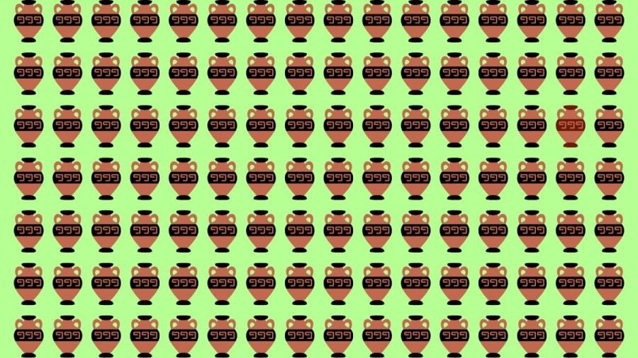 Test di capacità di osservazione: Riesci a individuare quale vaso è diverso in 10 secondi?