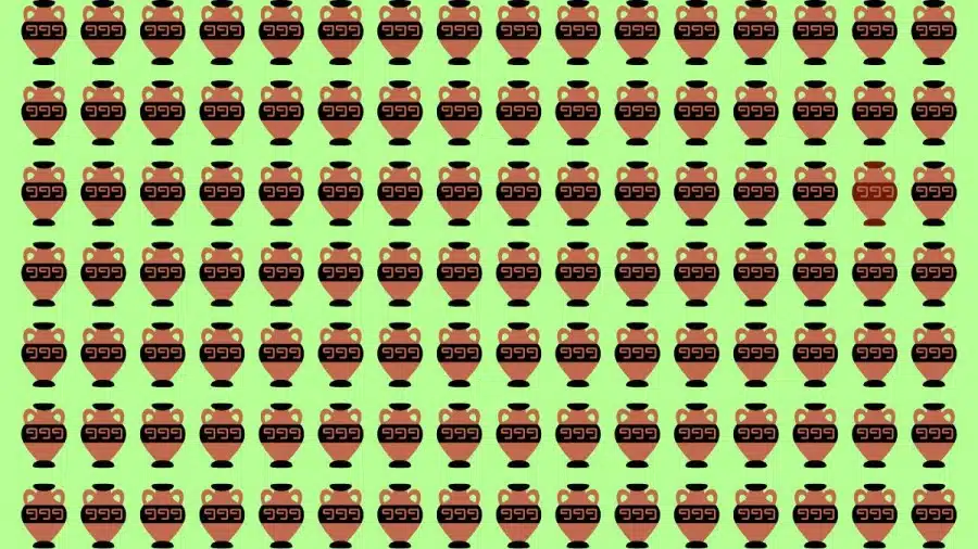 Test di capacità di osservazione: Riesci a individuare quale vaso è diverso in 10 secondi?