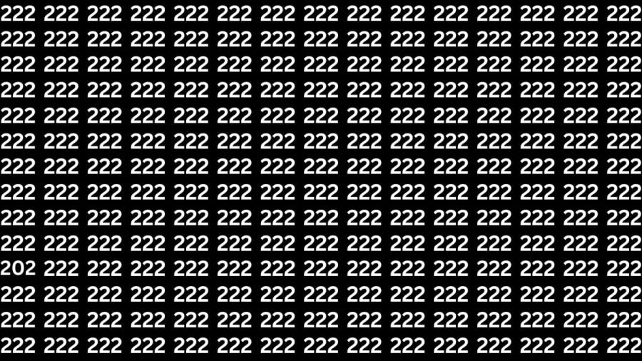 Test di capacità di osservazione: Riesci a trovare il numero 202 da 222 in 12 secondi?