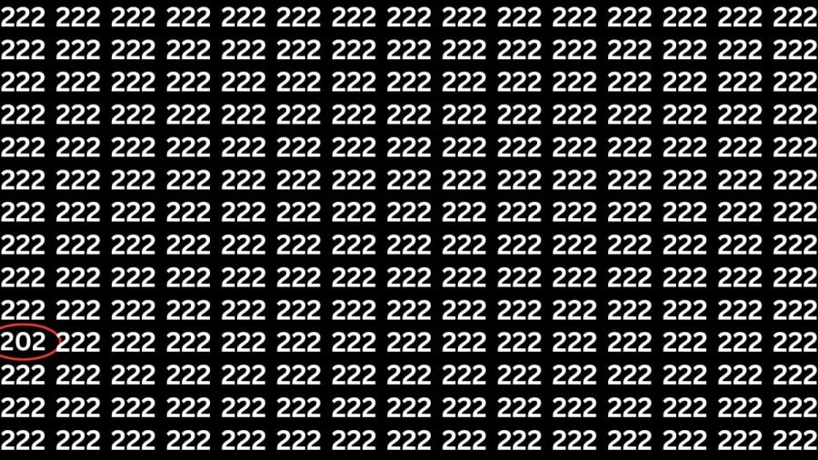 Test di capacità di osservazione: Riesci a trovare il numero 202 da 222 in 12 secondi?