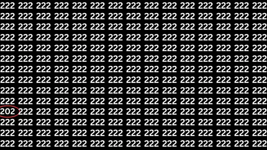Test di capacità di osservazione: Riesci a trovare il numero 202 da 222 in 12 secondi?