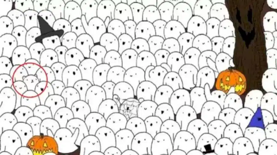 Test di illusione ottica: Riesci a individuare un orso polare nascosto in 13 secondi?
