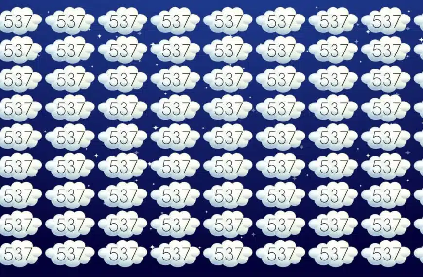 Indovinello visivo: riuscite a individuare il numero 527 in meno di 15 secondi? Accettate la sfida se pensate di avere una buona vista!