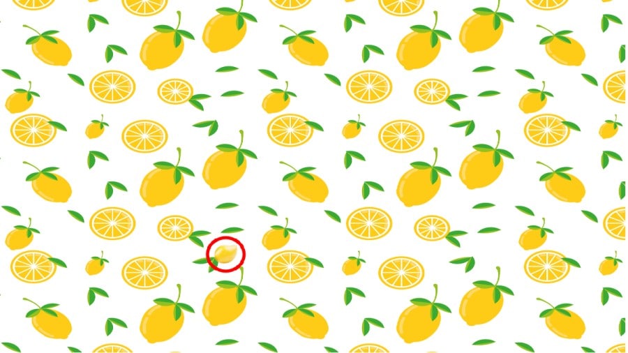 Illusione ottica: Riesci a trovare il mango nascosto in 12 secondi per completare la sfida?