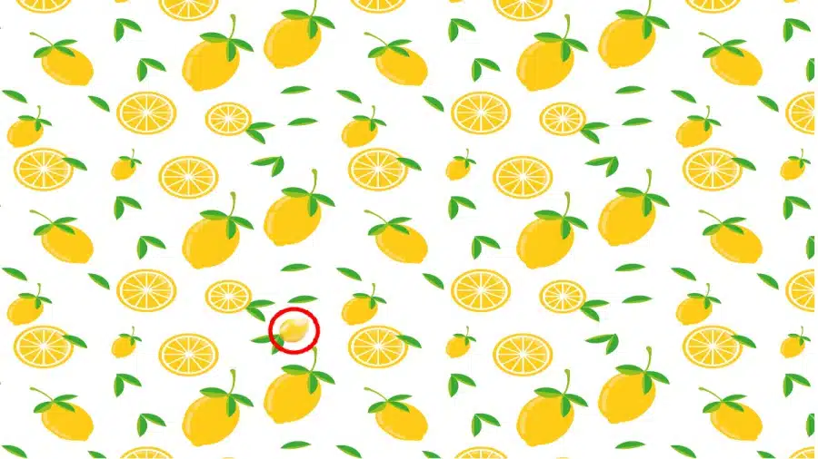 Illusione ottica: Riesci a trovare il mango nascosto in 12 secondi per completare la sfida?