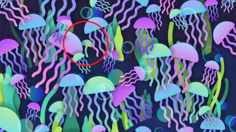 Sfida all'illusione ottica: Riesci a trovare il fungo nascosto nella medusa in 12 secondi? Illusione ottica del fungo nascosto: spiegazione e soluzioni