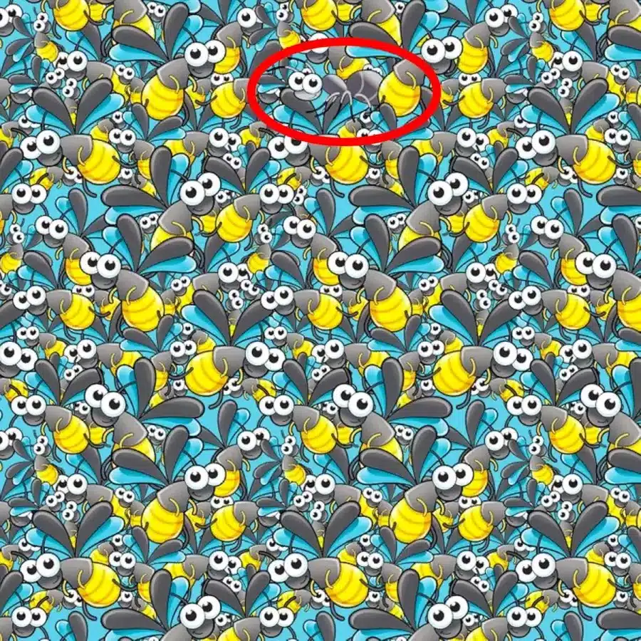 Illusioni ottiche 