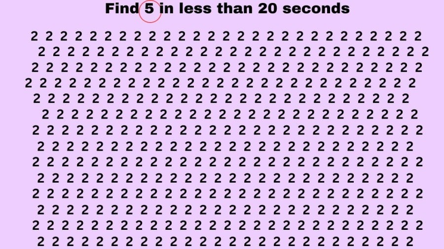 Test di illusione ottica del cervello: se hai l'occhio dell'aquila, trova 2 su 5 in 20 secondi