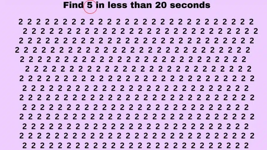 Test di illusione ottica del cervello: se hai l'occhio dell'aquila, trova 2 su 5 in 20 secondi