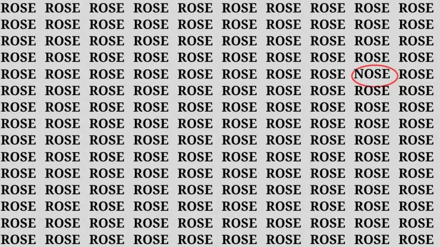 Riesci a trovare il 