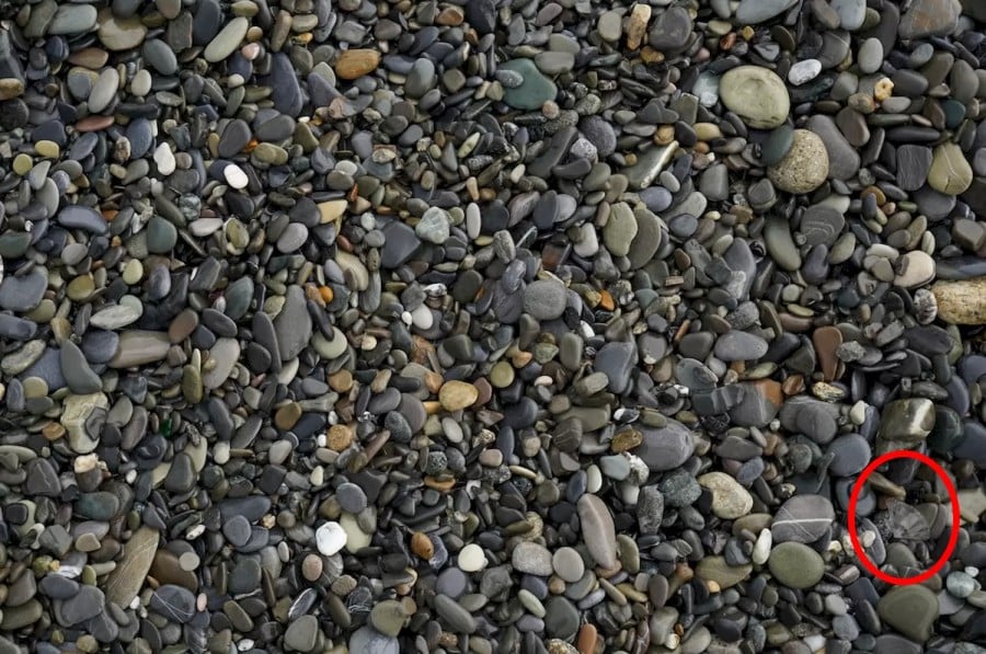 Illusione ottica del diamante: Riesci a trovare il diamante in questa immagine in 16 secondi?