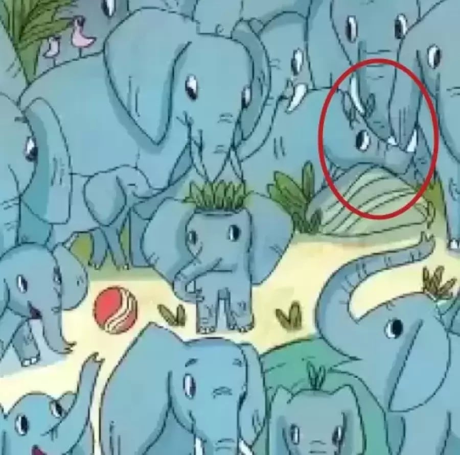 Illusione ottica: Riesci a trovare il rinoceronte nascosto tra gli elefanti in 10 secondi?