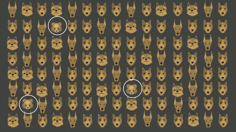 Illusione ottica: Riesci a individuare 3 orsi tra questi cani in 20 secondi? Solo poche persone ci riescono!