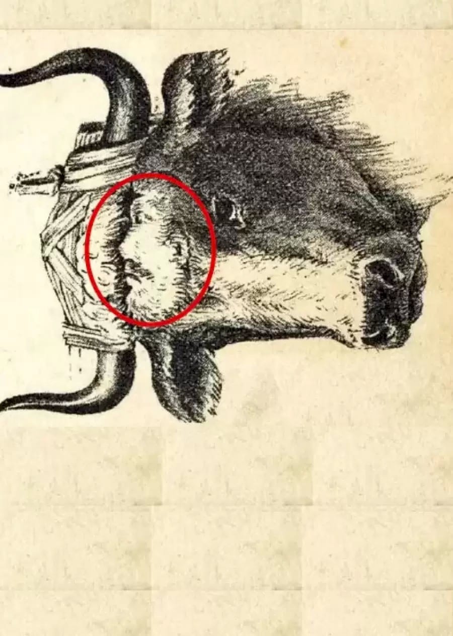 Illusione ottica che mette alla prova il tuo QI: Riesci a trovare il Maestro Niu in 10 secondi?