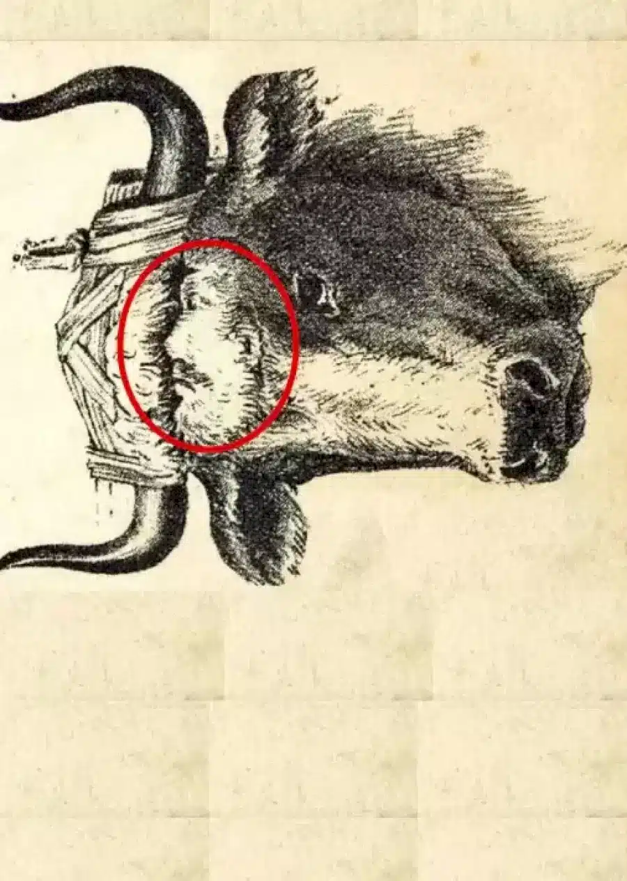 Illusione ottica che mette alla prova il tuo QI: Riesci a trovare il Maestro Niu in 10 secondi?