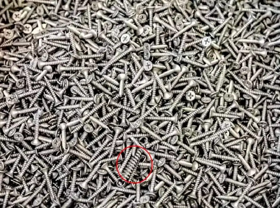 Riesci a trovare la molla in questa immagine in 15 secondi? Illusioni ottiche Spiegazioni e soluzioni