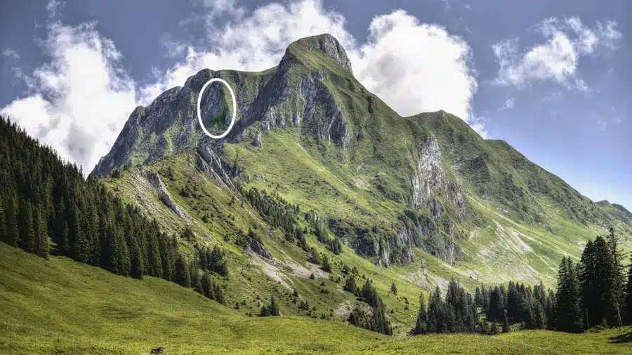 Sfida visiva di illusione ottica: se hai la vista dell'aquila, trova il Brachiosauro nell'immagine entro 15 secondi.
