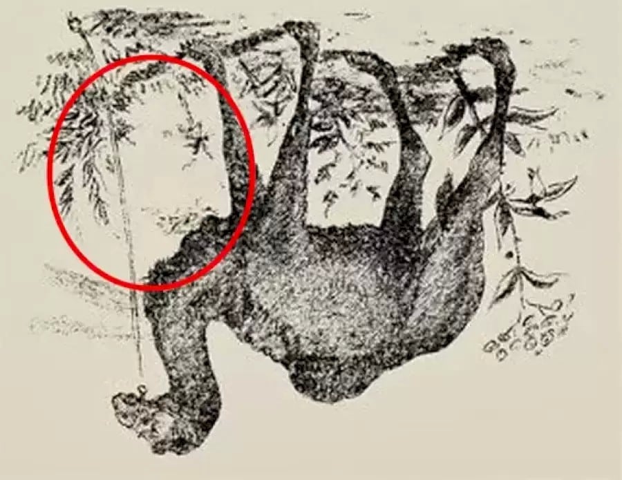 Riesci a trovare il cammelliere in 20 secondi? Illusioni ottiche Spiegazioni e soluzioni
