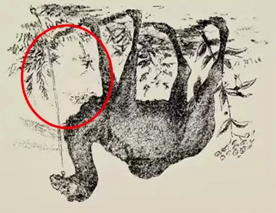 Riesci a trovare il cammelliere in 20 secondi? Illusioni ottiche Spiegazioni e soluzioni