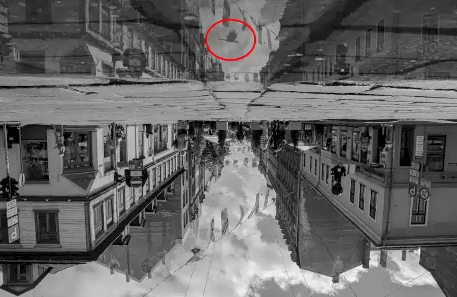 Illusione ottica: Riuscite a vedere il corvo in questa strada trafficata?