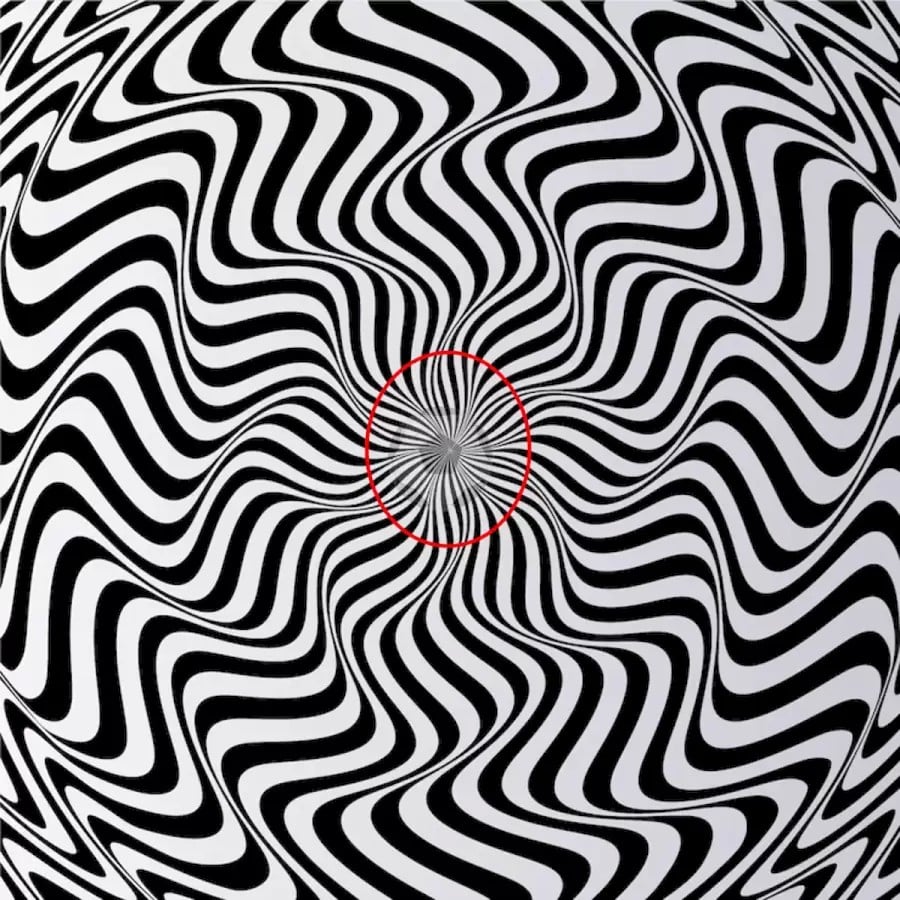 Volete mettere alla prova la vostra vista? Cercate di trovare gli oggetti nascosti in questa illusione ottica