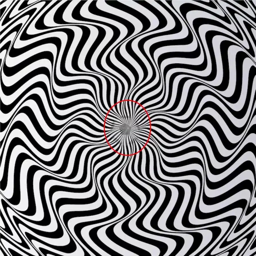 Volete mettere alla prova la vostra vista? Cercate di trovare gli oggetti nascosti in questa illusione ottica