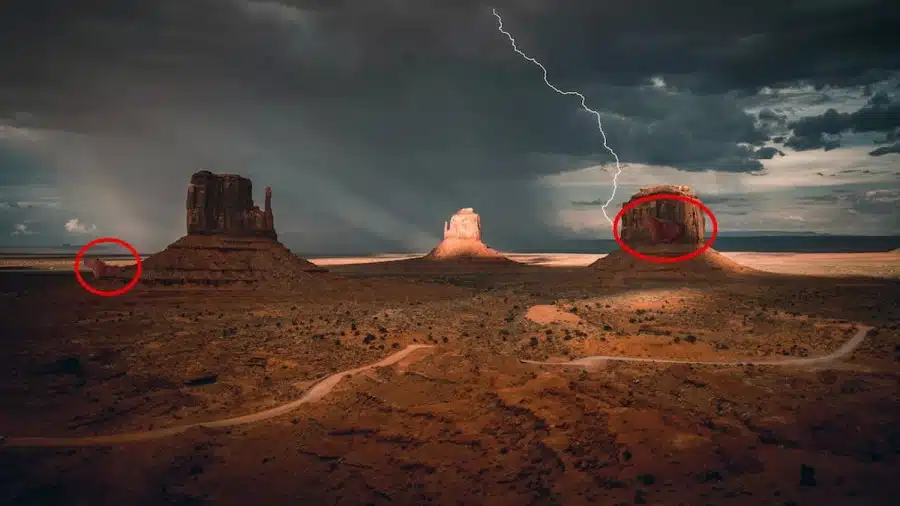 Illusione ottica della ricerca del capibara: In questa immagine sono nascosti due capibara. Se sei un genio, trovali!