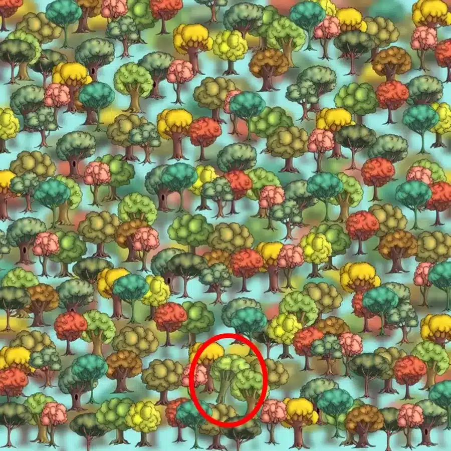 Questo non è un albero qualsiasi. All'interno di questa illusione ottica si nasconde un broccolo. Riuscite a trovarlo?