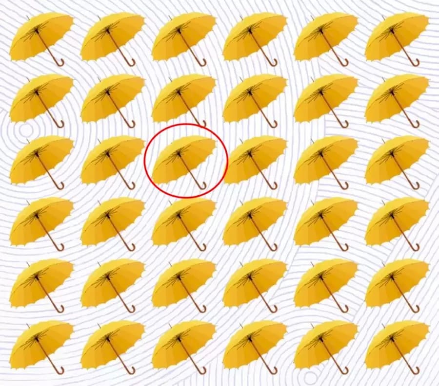Illusione ottica: Trova i diversi ombrelli in questa immagine in 14 secondi