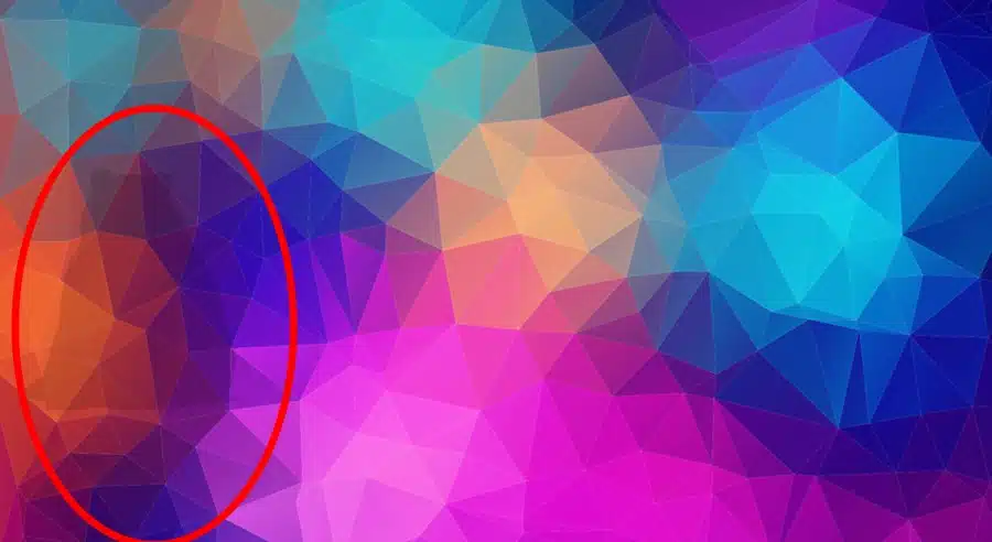 Illusioni ottiche per mettere alla prova i tuoi occhi! Quale animale vedi dietro questi colori?