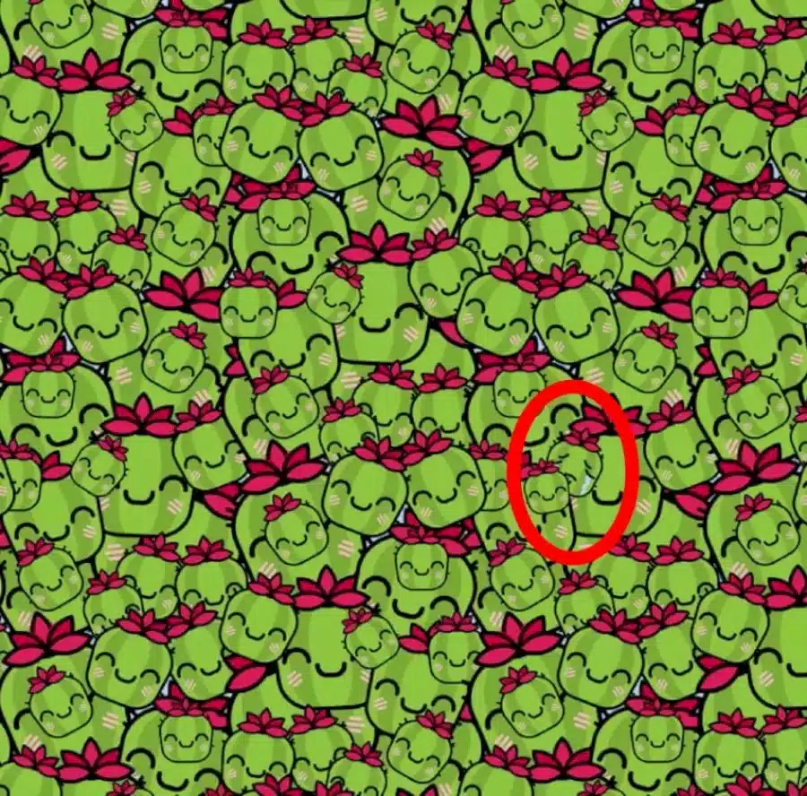 Sfida di illusione ottica: se trovi il cactus che piange in questa immagine entro 16 secondi, sei il vincitore