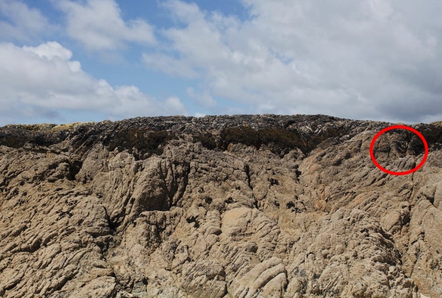 Illusione ottica cerca e cerca: Trovare un'aquila in questa montagna non è facile. Volete provarci?