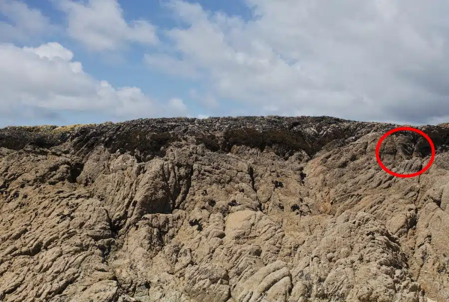 Illusione ottica cerca e cerca: Trovare un'aquila in questa montagna non è facile. Volete provarci?