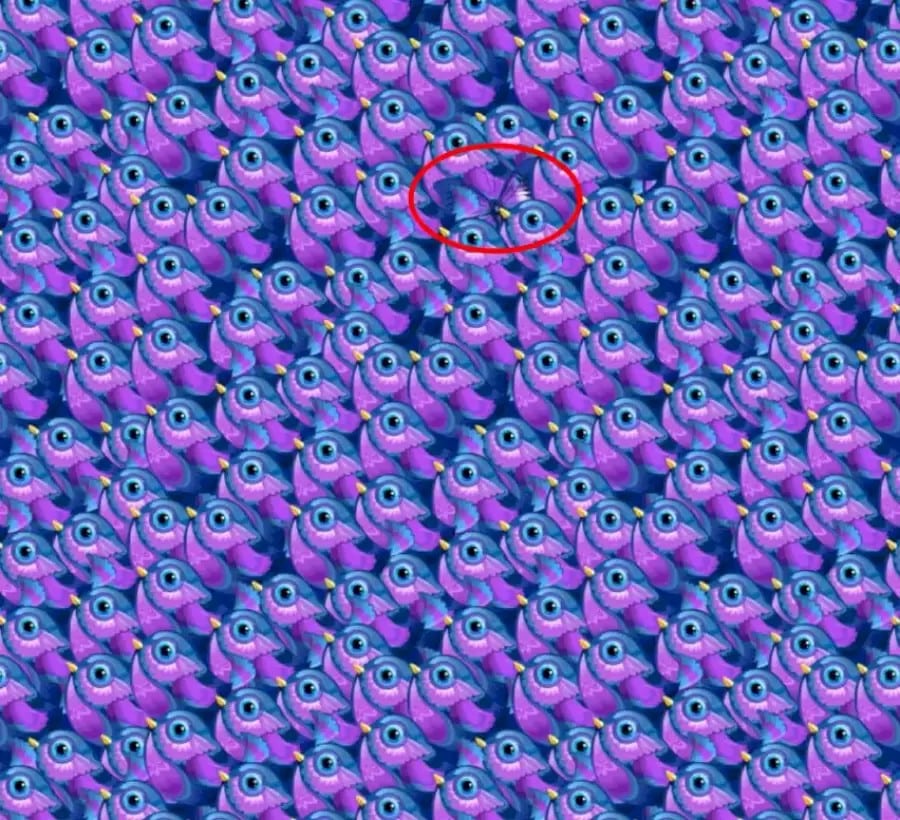 Scoprite l'illusione ottica della farfalla: In questa immagine c'è una farfalla tra gli uccelli. L'avete vista?