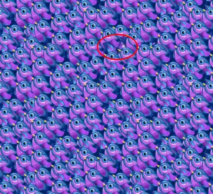Scoprite l'illusione ottica della farfalla: In questa immagine c'è una farfalla tra gli uccelli. L'avete vista?