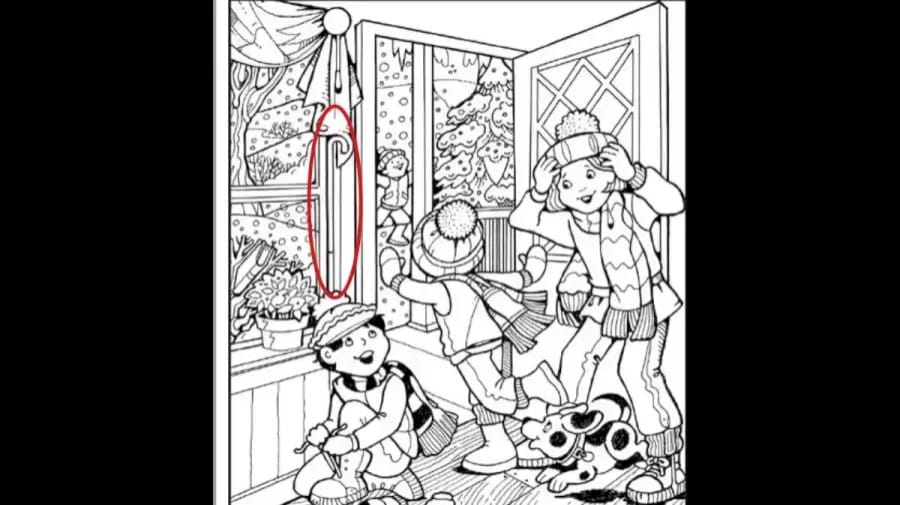 Metti alla prova il tuo cervello con le illusioni ottiche: Riesci a riconoscere il bastone in questa immagine in 12 secondi?