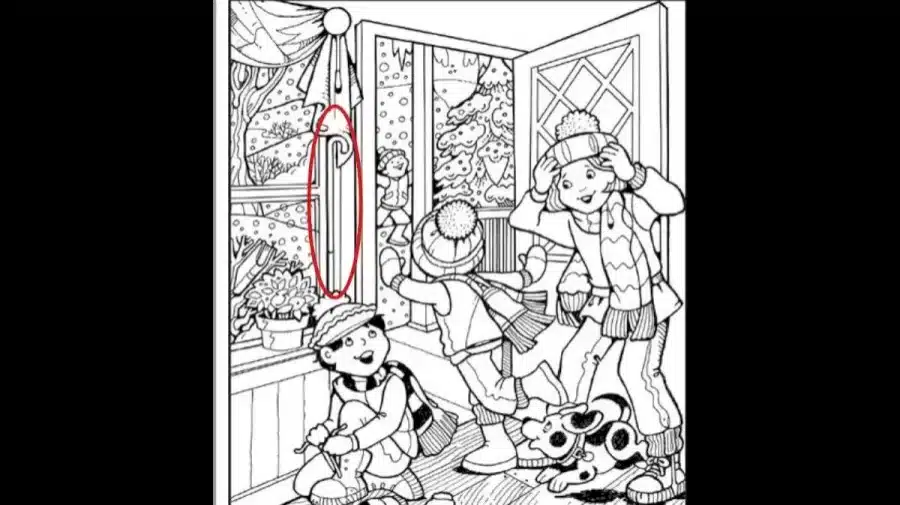 Metti alla prova il tuo cervello con le illusioni ottiche: Riesci a riconoscere il bastone in questa immagine in 12 secondi?