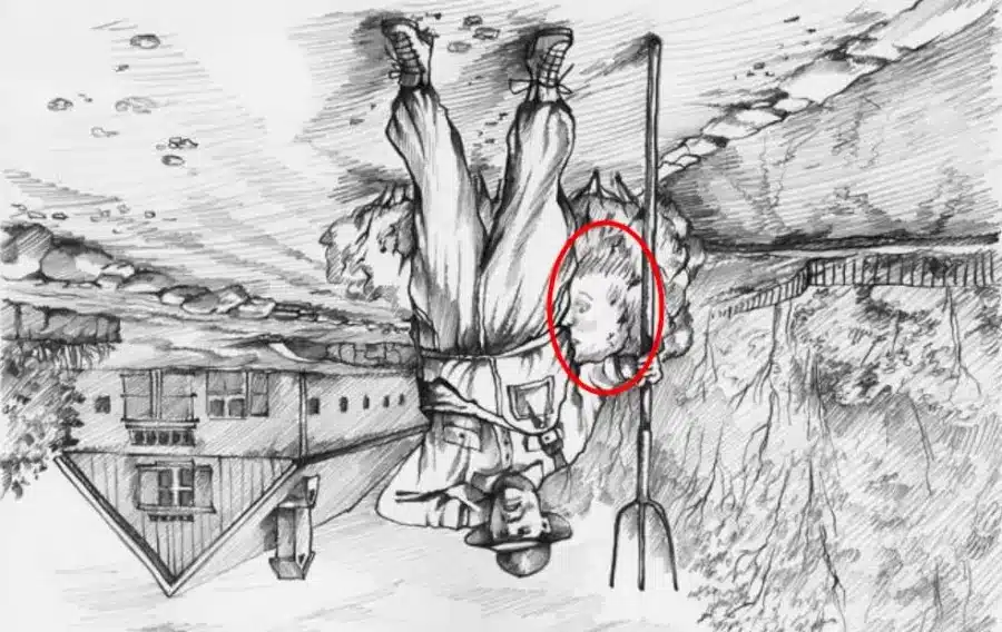 Riesci a scoprire dove si nasconde la moglie del contadino? Illusioni ottiche Spiegazioni e soluzioni