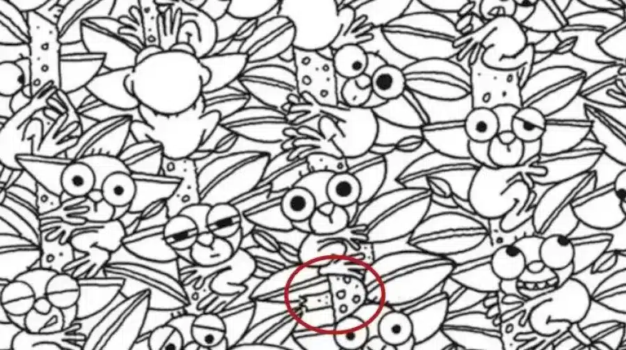 Riesci a trovare il fungo nascosto in questa immagine in 15 secondi? Spiegazione e soluzione dell'illusione ottica del fungo nascosto