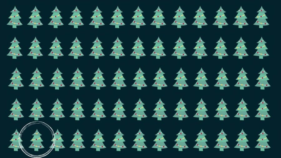Illusioni ottiche per mettere alla prova i tuoi occhi! Se trovi lo strano albero di Natale in questa immagine entro 25 secondi, avrai occhi d'aquila