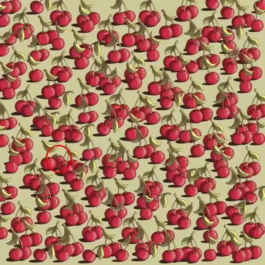 Riesci a trovare i pomodori nascosti tra le ciliegie in questa illusione ottica?
