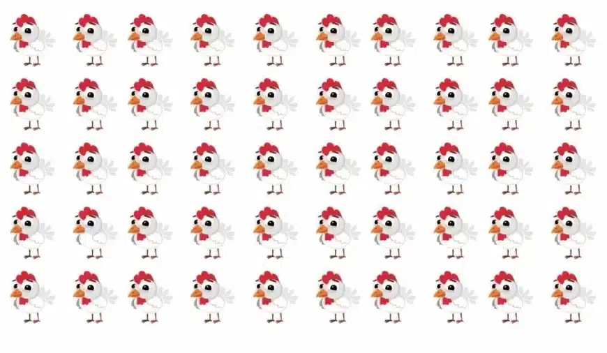 Test del QI sulle illusioni ottiche: Solo il 15% riesce a individuare la gallina strana in questa immagine. Sei uno di loro?